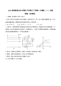 2025届湖南省长沙市雅礼中学高三下学期5月模拟（一）试卷 物理（含答案）
