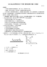 2025届山东省菏泽市高三下学期一模考试试卷 物理（含答案）