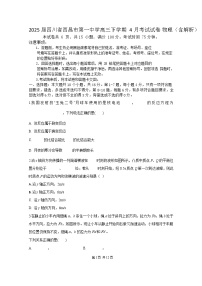 2025届四川省西昌市第一中学高三下学期4月考试试卷 物理（含解析）