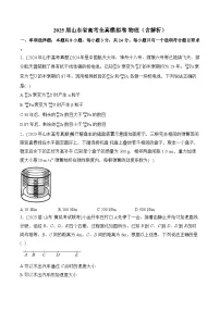 2025届山东省高考全真模拟卷 物理（含解析）