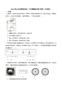 2025届山东省聊城市高三下学期模拟试卷 物理（含答案）