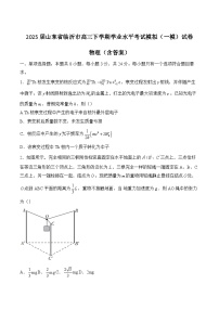 2025届山东省临沂市高三下学期学业水平考试模拟（一模）试卷 物理（含答案）