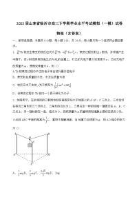 2025届山东省临沂市高三下学期学业水平考试模拟（一模）试卷 物理（含答案）