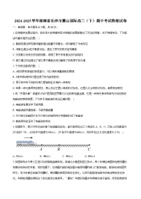 湖南省长沙市麓山国际实验学校2024-2025学年高二下学期期中考试物理试卷（Word版附解析）