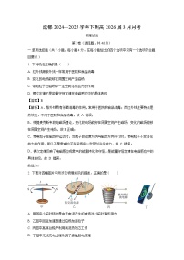 四川省成都市2024-2025学年高二下学期3月月考物理试题（解析版）