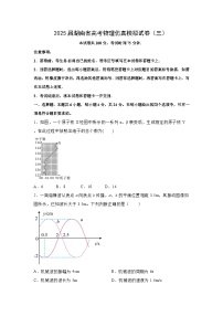 2025届湖南省高考仿真模拟（三）物理试题（解析版）