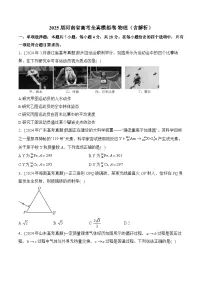 2025届河南省高考全真模拟卷 物理（含解析）