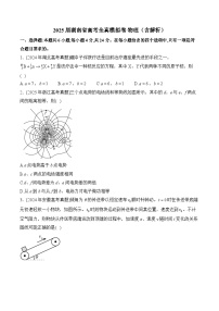 2025届湖南省高考全真模拟卷 物理（含解析）