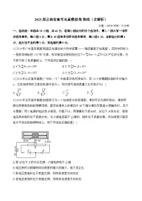 2025届云南省高考全真模拟卷 物理（含解析）