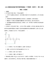 2025届湖南省新高考教学教研联盟高三下学期第一次联考（一模）试卷 物理（含答案）
