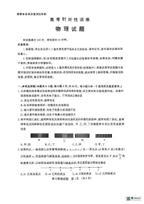 2025届山东省济南市高三下学期高考三模物理试题（无答案）