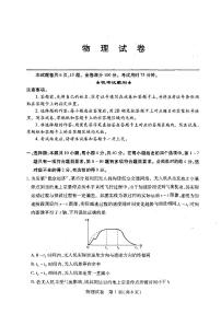 2025届湖北省武汉市高三下学期高考模拟考试物理试题（含答案）