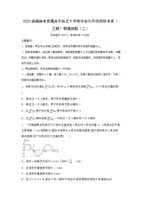 2025届湖南省普通高中高三下学期学业水平选择性考试（三模）（二）物理试题（解析版）