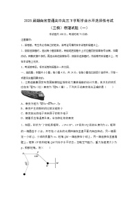 2025届湖南省普通高中高三下学期学业水平选择性考试（三模）（一）物理试题（解析版）