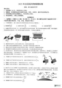 2025届浙江省六校高三下学期模拟考试物理试卷(1)（高考模拟）