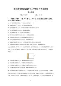 湖南省雅礼中学2024-2025学年高二下学期5月月考物理试题（含答案）