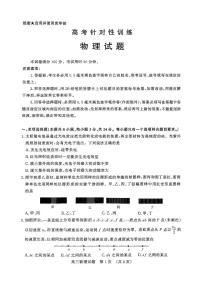山东省济南市2025届高三下学期5月高考针对性训练（三模）物理 PDF版含答案