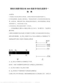 2025届湖南名校联考联合体高三下学期高考考前仿真联考（一）物理试卷（含答案）