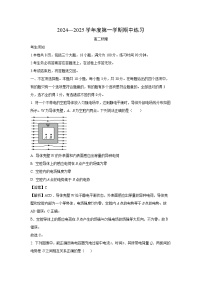 北京市海淀区进修2024-2025学年高二上学期期中物理试卷（解析版）