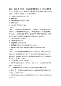 北京市海淀区2024-2025学年高二上学期12月月考物理试卷（解析版）