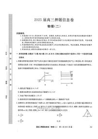 2025年九师联盟高考模拟押题卷二物理试题及答案