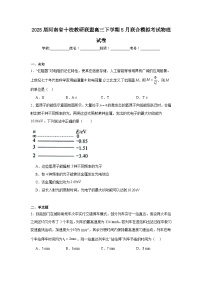 2025届河南省十校教研联盟高三下学期5月联合模拟考试物理试卷（无答案）
