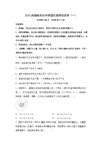 2025届湖南省高三下学期高考仿真模拟（一）物理试卷（解析版）