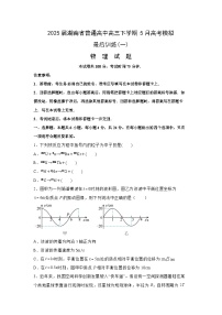 2025届湖南省普通高中高三下学期5月模拟最后训练(一)物理试卷（解析版）