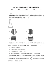 2025届山东省潍坊市高三下学期三模物理试卷（无答案）