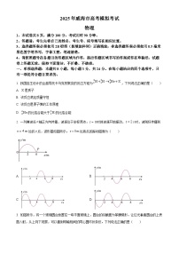 2025届山东省威海市高三下学期5月模拟考试（三模）物理试题（原卷版+解析版）（高考模拟）