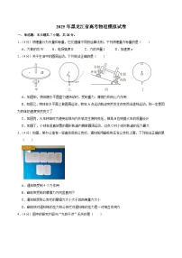2025年黑龙江省高考物理模拟试卷（含详细答案解析）
