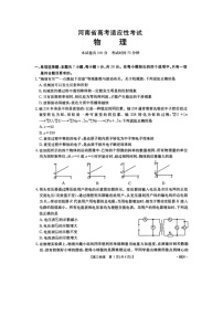2025届河南省高三下学期高考适应性考试物理试卷