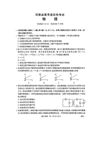 2025届河南省高三下学期高考适应性考试物理试卷