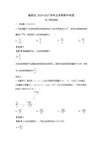 湖南省衡阳市衡阳县2024-2025学年高二上学期11月期中（平行班）物理试卷（解析版）