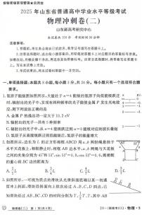 2025届山东省普通高中学业水平等级考试高考冲刺卷（二）物理试卷