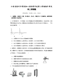 江苏省泰州中学2024-2025学年高二下学期4月期中考试物理试卷（含答案）含答案解析