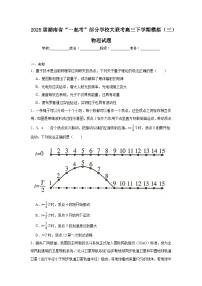 2025届湖南省“一起考”部分学校大联考高三下学期模拟（三）物理试题（无答案）