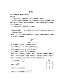 2025届河南省部分示范性高中高三下学期5月联合模拟考试物理试题（高考模拟）