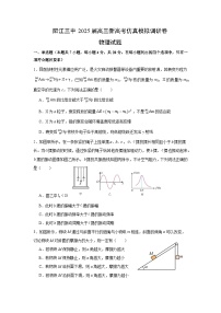 2025届广东省阳江市第三中学高三下学期三模物理试题（高考模拟）