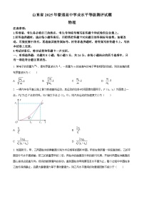 2025届山东省临沂市临沭县高三下学期三模物理试题（原卷版+解析版）（高考模拟）
