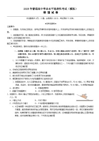 2025年普通高中学业水平选择性考试（高考模拟）物理试题（含答案）