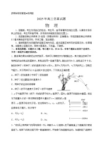2025届山东省淄博市高三下学期仿真模拟（三模）物理试题（含答案与解析）