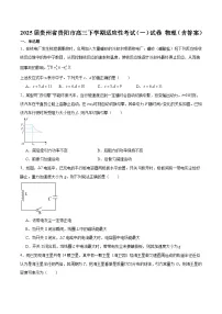 2025届贵州省贵阳市高三下学期适应性考试(一)试卷 物理(含答案)