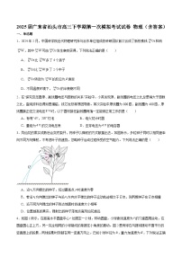 2025届广东省汕头市高三下学期第一次模拟考试试卷 物理（含答案）