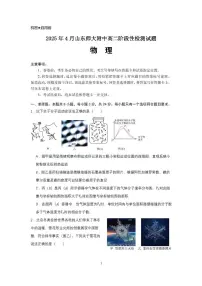 山东省山东师范大学附属中学2024-2025学年高二下学期期中考试物理试题（PDF版，含答案）含答案解析