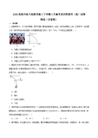 2025届贵州省六校联考高三下学期3月高考实用性联考（四）试卷 物理（含答案）