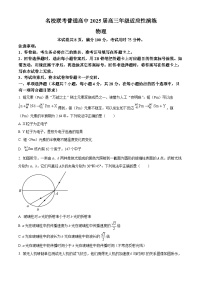 2025届河北省联考高三下学期模拟预测物理试题（高考模拟）