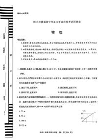 2025届安徽省合肥市第六中学高三下学期普通高中学业水平选择性考试预测物理试卷（高考模拟）