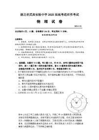 2025届湖北省武昌实验中学高三下学期高考适应性考试物理试卷（高考模拟）