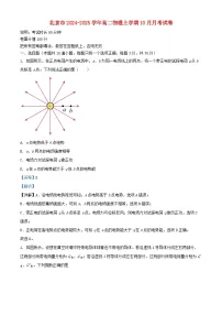 北京市2024_2025学年高二物理上学期10月月考试卷含解析 (1)
